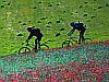 Mountainbiken auf hei�en Vulkantrails