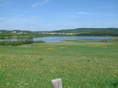 Maare Weiher Ulmen Landschaft