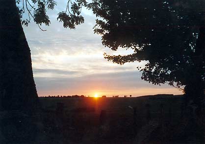 Sonne Himmel Farben Baum schwarz