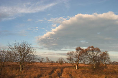 Baraque Michel, Herbst, venn, wolken, himmel, gelb, braun, moor