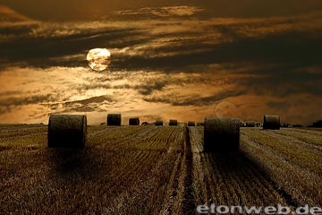 Feld, Stoppelfeld, Strohballen, Sonnenaufgang, Himmel