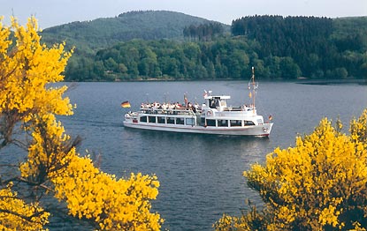 schiff see wasser boot ginster wald