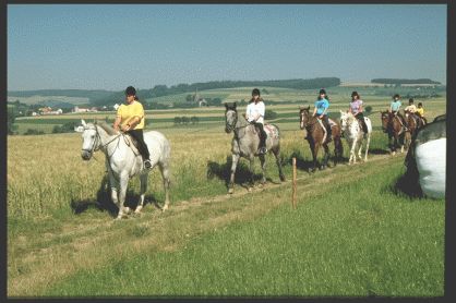 Natur, Pferde, Reiten, 