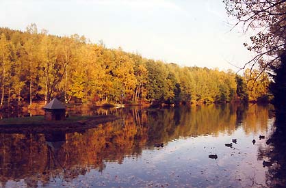 herbst see bach fluss baum b�ume wald
