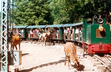 bahn lokomotive hirsch gehege ausflug