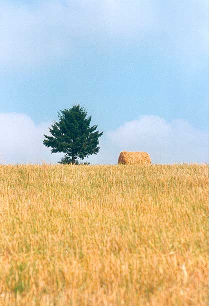 getreide feld baum strohballen