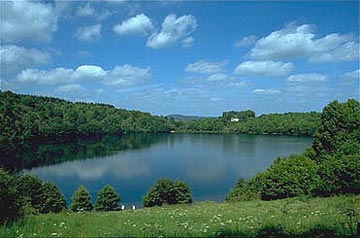 maar see wald wasser