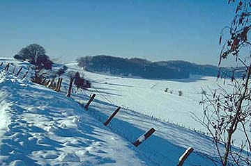 schnee zaun wald wiesen wei� winter