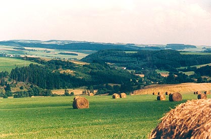 wiese heu