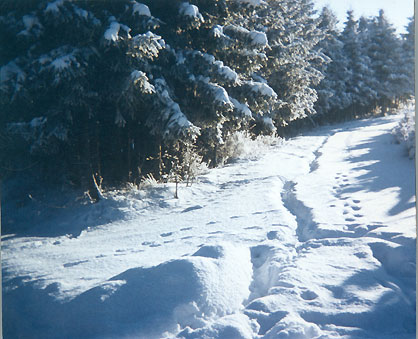 Wintersport Eifel/Ardenne