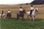 Reiten auf Gut Hungerburg