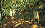 Gewässerlehrpfad Echtersbachtal