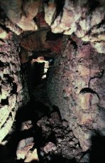 Tiergartentunnel