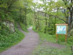 Waldlehrpfad Einruhr/Dedenborn