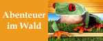 Abenteuer im Wald
