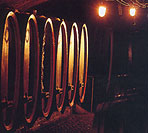 Weinbaulehrpfad