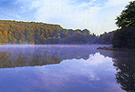 Holzmaar