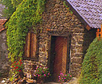 Backhaus