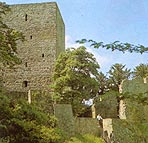 Hardtburg