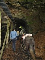 Geocaching zu Pferd & Wanderreiten