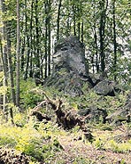Beilstein