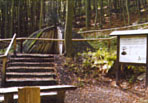 Schaumeiler