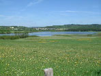 Jungferweiher