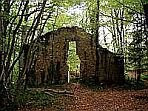 Ruine Karlsburg