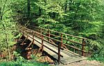 Geführte Waldwanderungen und Naturerlebnistage