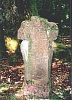 Selertkreuz