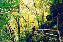 Der Lieserpfad - von Daun nach Wittlich