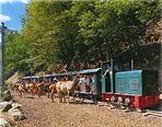 Eifel-Zoo L&uuml;nebach