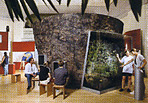 Maarmuseum