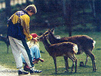 Hochwildpark Rheinland