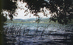 Laacher See