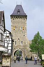 Natur- u. Landschaftsmuseum im Stadttor