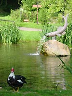 Stadtpark