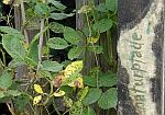 naturpfade - Natur- und Kulturerlebnis