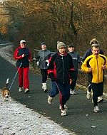 Gef&uuml;hrte Ausdauerl&auml;ufe in der Vulkaneifel