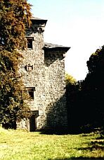 Burg Aremberg