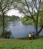 Ulmener Maar