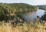 See von Robertville