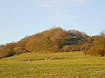 Gef&uuml;hrte Wanderungen - Wandern in der Eifel