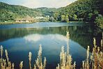Riedener Waldsee