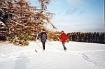 Wintersportgebiet "Michelsberg"