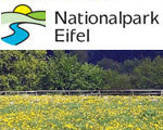 Fr&uuml;hling im Nationalpark