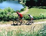 Sport - Veranstaltungen