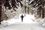 Sport - Veranstaltungen