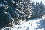 Natur erleben - Wandertouren