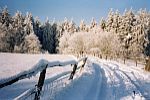 Natur erleben - Wanderveranstaltungen